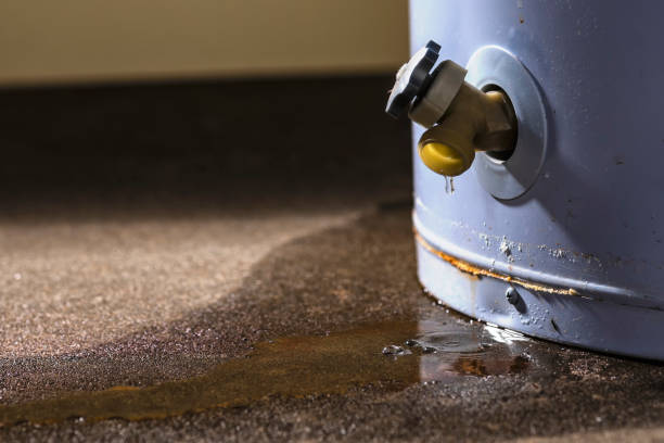 Best Ceiling water damage repair  in Landover, MD