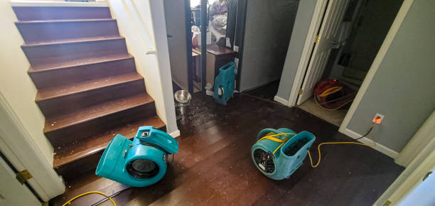 Best 24/7 water damage repair  in Landover, MD