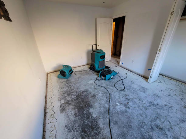 Best 24/7 water damage repair  in Landover, MD