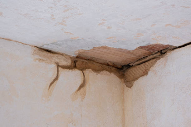 Best 24-hour water damage restoration  in Landover, MD