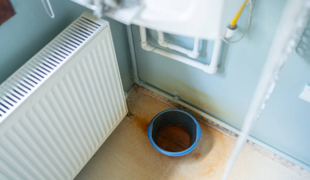 Best Water damage cleanup near me  in Landover, MD