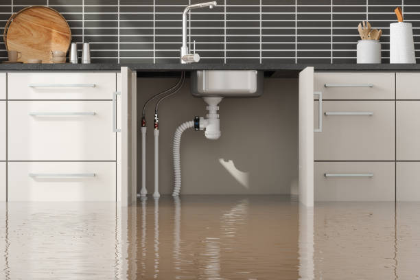 Best Sewage cleanup and water damage restoration  in Landover, MD